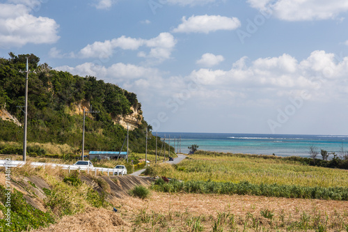 沖縄 宮城島　畑と一本道 © Ni_photo