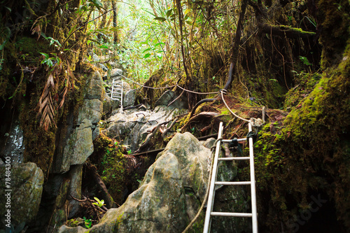 Pinnacles trek in gunung mulu national park photo