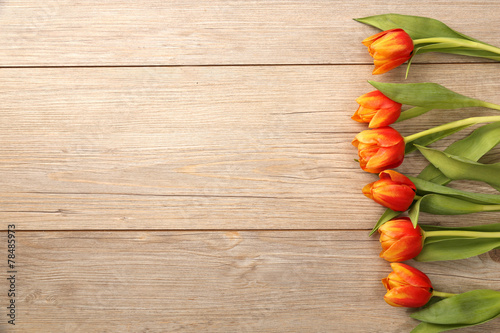 Tulpen mit Holzhintergrund