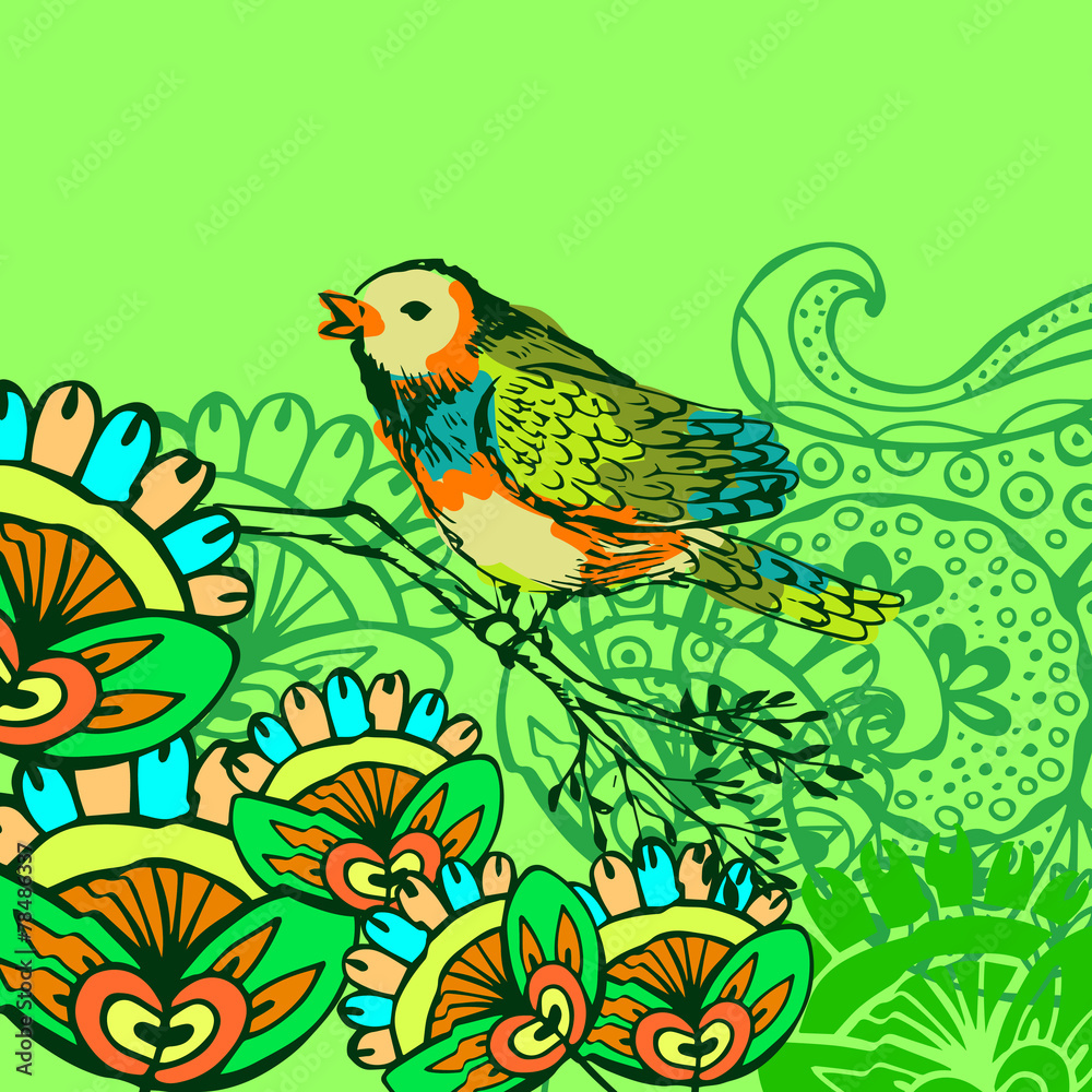 Bird background