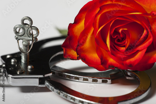 Foto Handschellen mit einer Rose