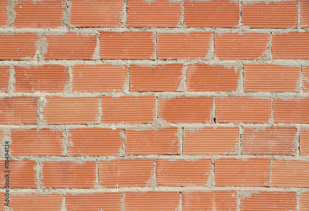 Obraz premium Brick wall