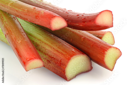 freshly  cut stems of rhubarb on a white background photo