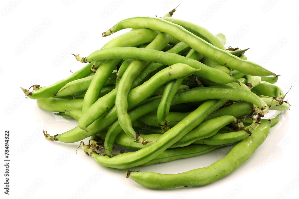 bunch of broad beans on a white background bunch of broad beans on a white background