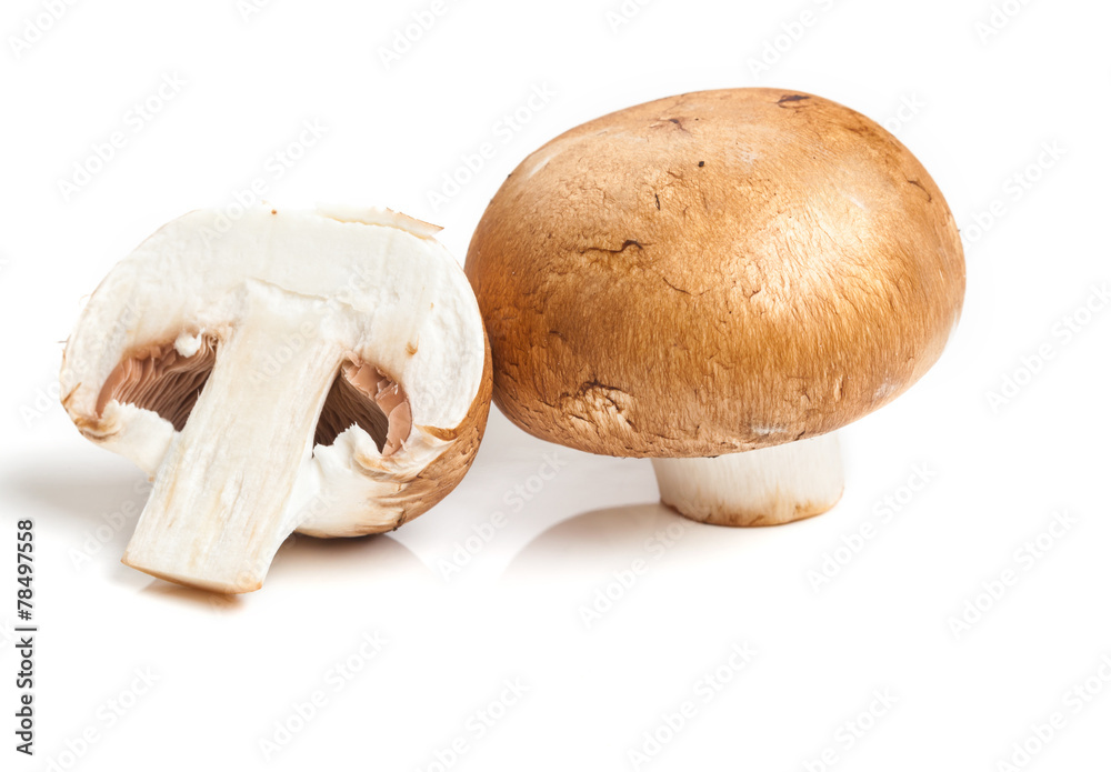 Fototapeta premium Braune Champignons