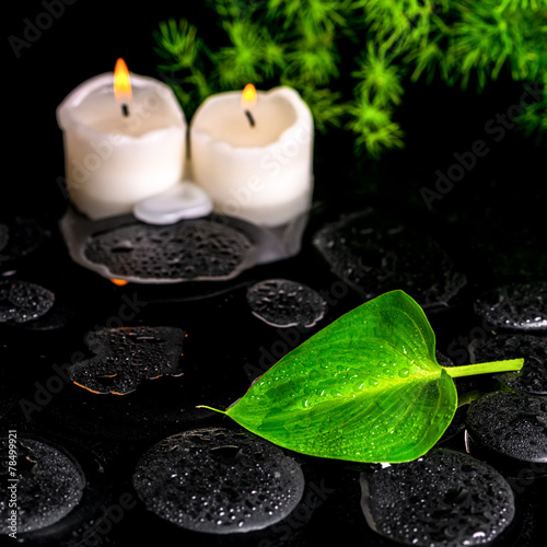 beautiful spa still life of green leaf Calla lily, twig and cand