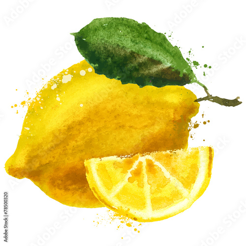 fruit vector logo design template. food or lemon icon.