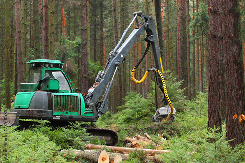 The harvester working in a forest.