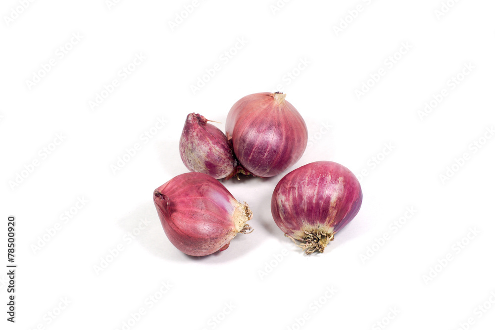 red onion bulb isolated on white background cutout red onion bulb isolated on white background cutout