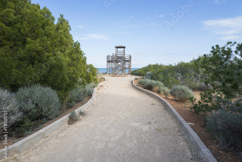 Mirador de madera. (Alcocebre, Castellon - España). photo