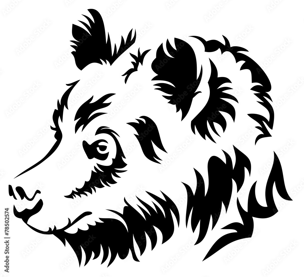 Vector  image of a wild bear isolated on a white background