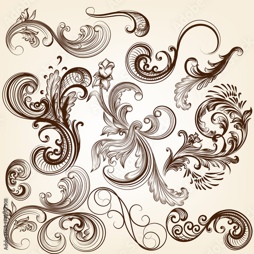 Collection of vector decorative floral calligraphic elements