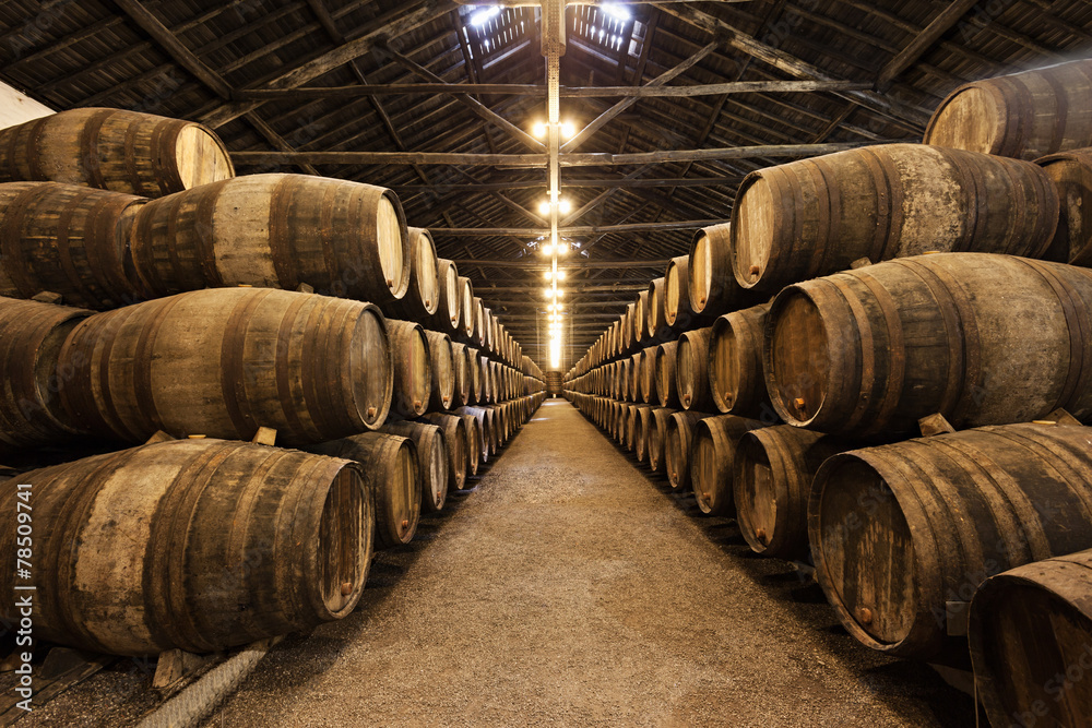 Fotografie, Obraz Wine cellar, Porto