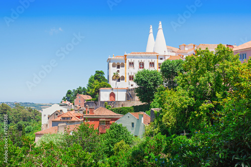 Sintra National Palace