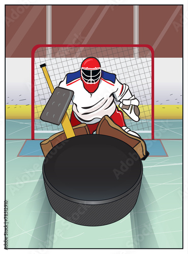 Hockey Goalie