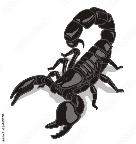 Scorpion