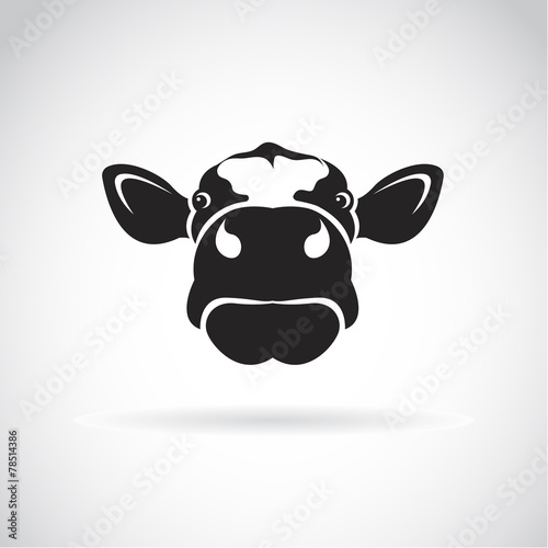 Vector image of an cow head on white background