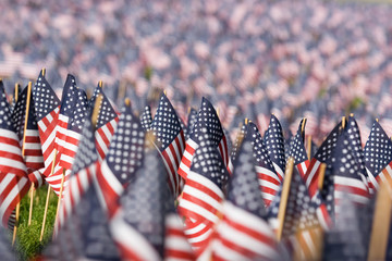 US Flags