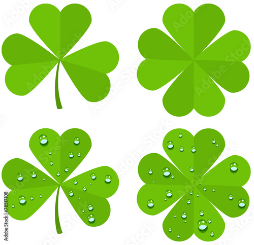 Set clover leaves isolated on white background