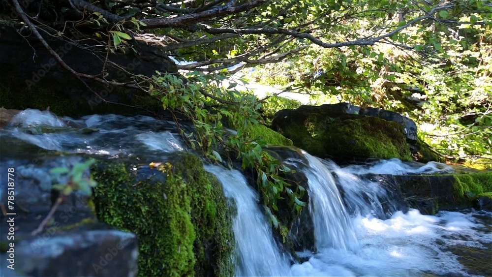 Cascades in Glacier National park , Montana Cascades in Glacier National park , Montana