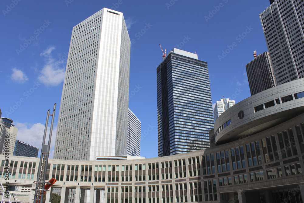 Naklejka premium 新宿のビル郡