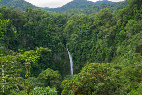 cascade et forêt tropicale - Costa Rica