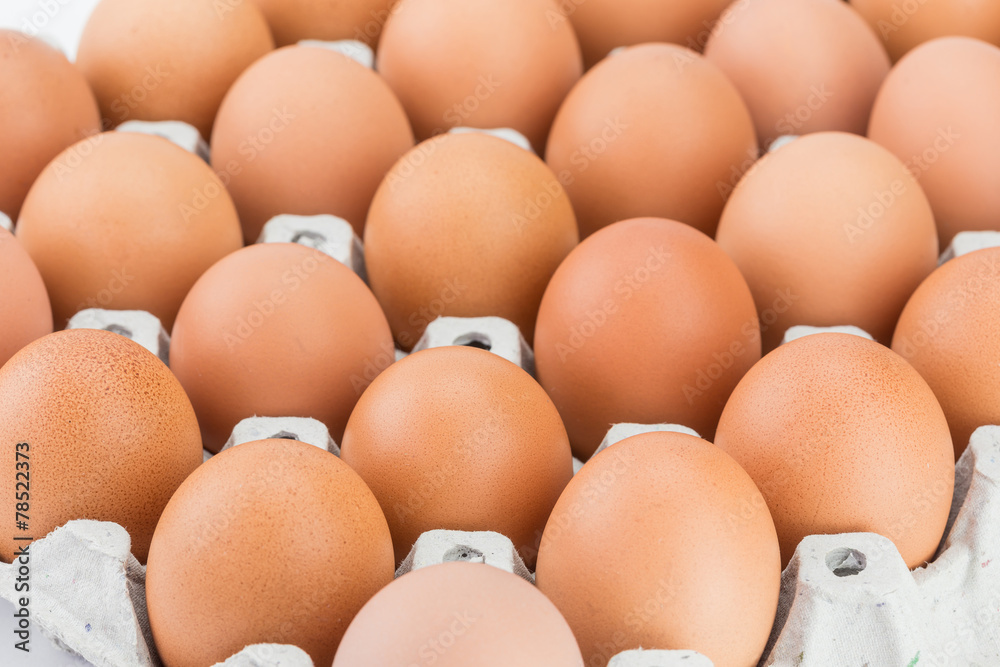 Eggs in paper tray