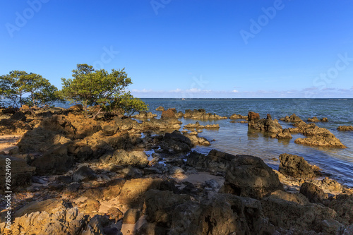 Boipeba - plage de Moreré - Mangrove - Corail © thomathzac23