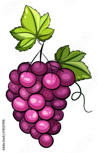 A cluster of grapes