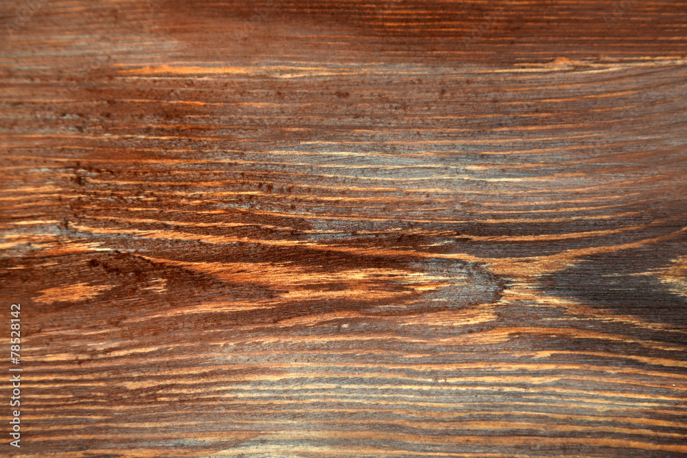 Wooden texture, close up Wooden texture, close up