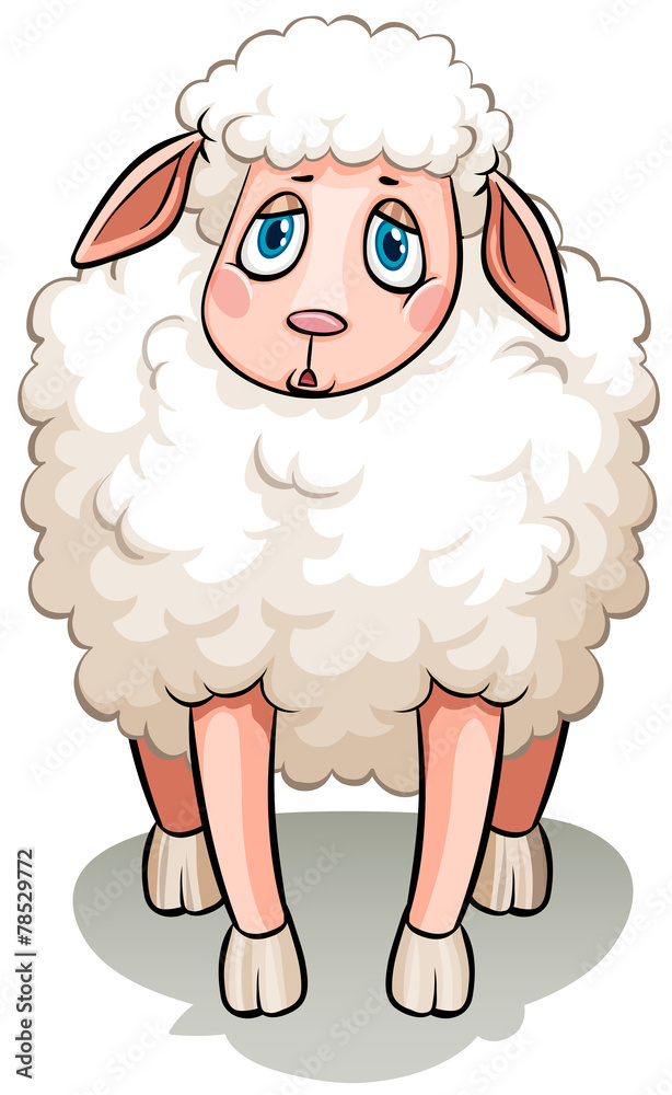 Obraz premium A white sheep