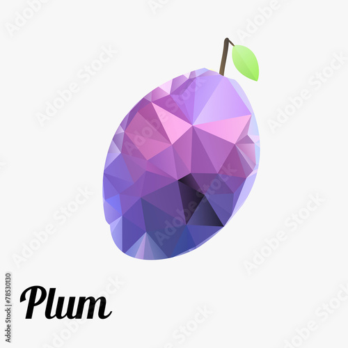 fresh fruit plum colorful outline modern triangle texture