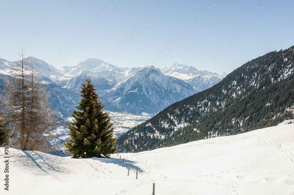 Riederalp, Dorf, Walliser Alpen, Fletschhorn, Winter, Schweiz