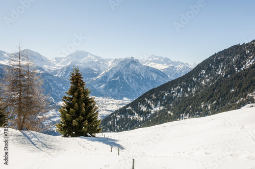 Riederalp, Dorf, Walliser Alpen, Fletschhorn, Winter, Schweiz