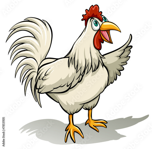 A cock and bull idiom