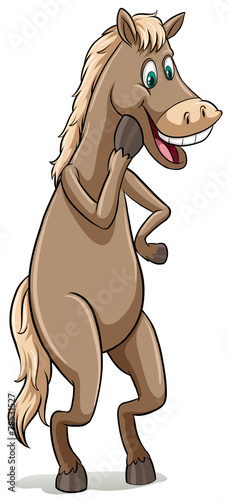 Straight from the horse mouth idiom