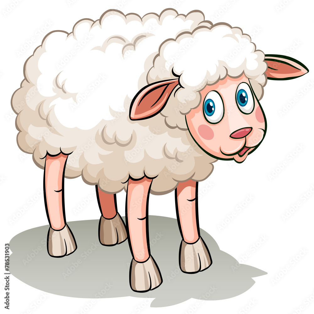 A black sheep A black sheep