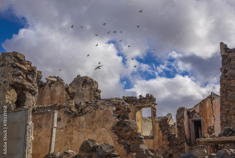 Birds flying over ruin  Fuerteventura  Canary Islands Spain