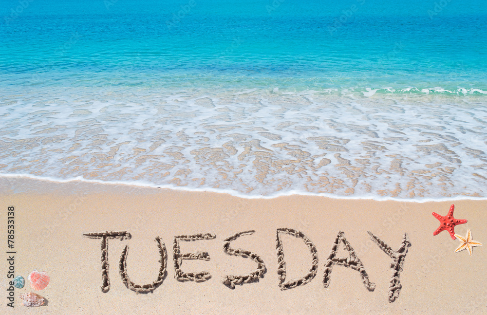 Fototapeta premium tuesday on a tropical beach