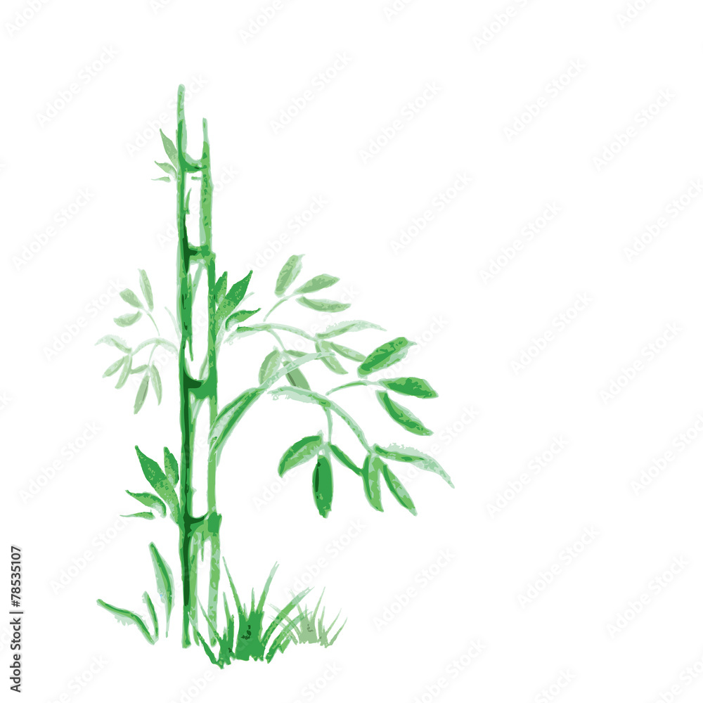 Obraz premium abstract background with bamboo tree