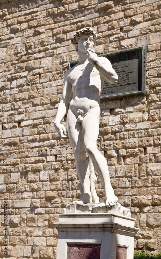 Naklejka premium A copy of the statue of David by Michelangelo, in Florence