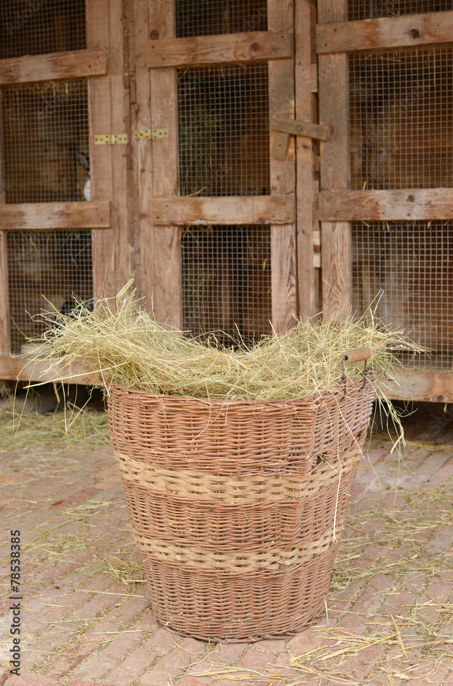 Gras Korb Stock-Foto | Adobe Stock