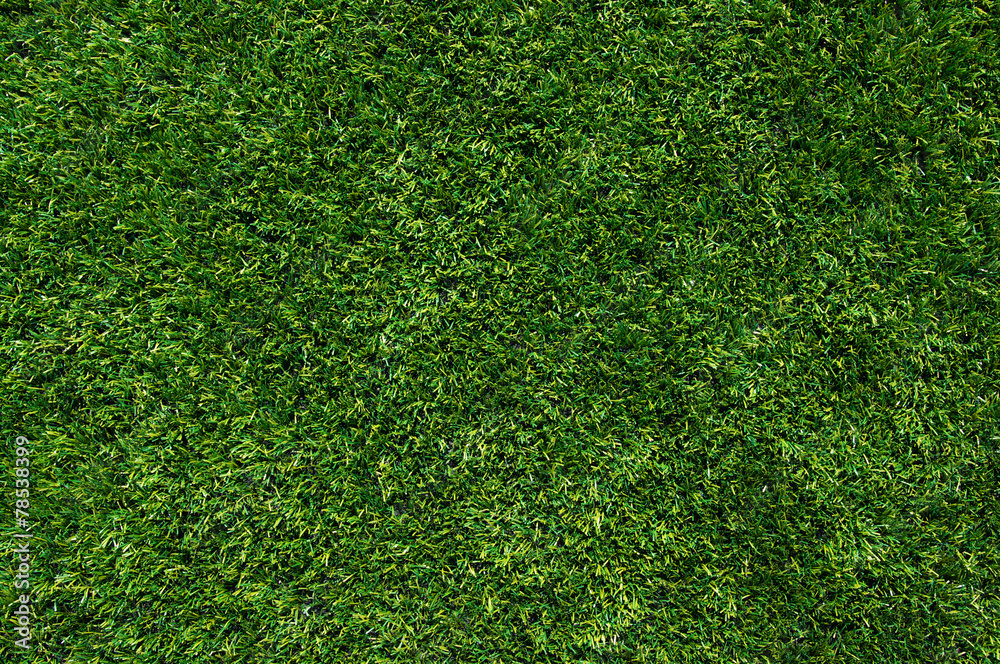 Fototapeta premium green grass