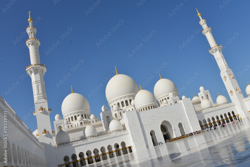 Obraz premium Sheikh Zayed Grand Mosque in Abu Dhabi
