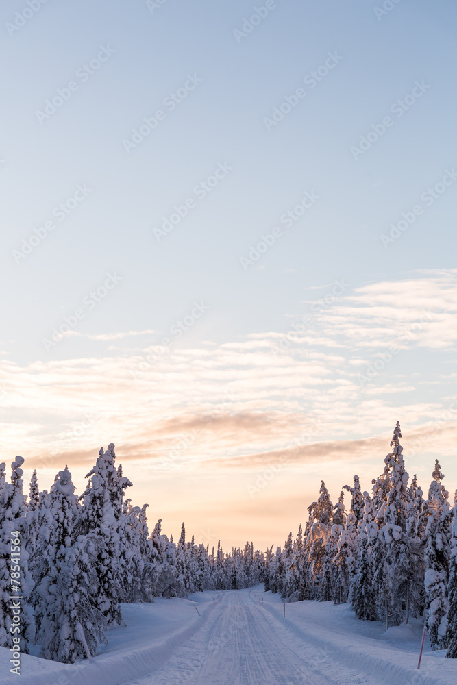 Winter road scene Winter road scene