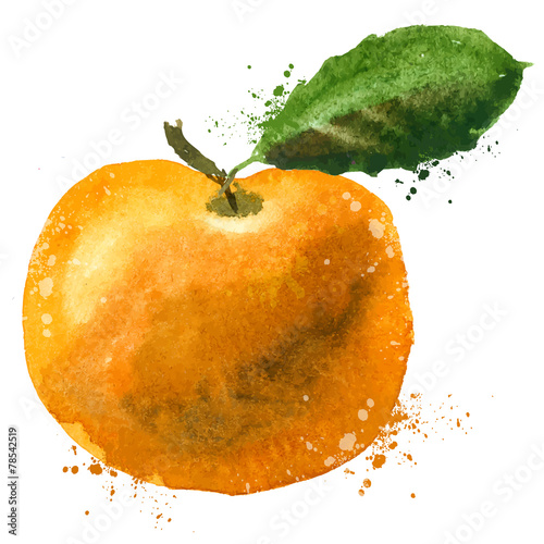 Mandarin vector logo design template. fruit or food icon.