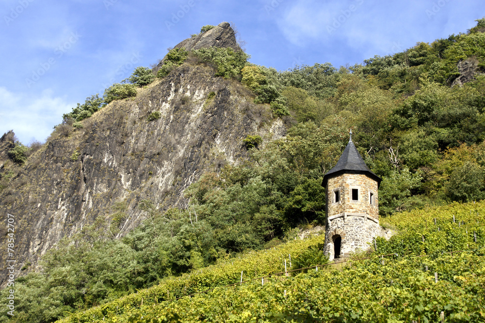 Landschaft mit Weinbergen unter dem Drachenfels, Königswinter