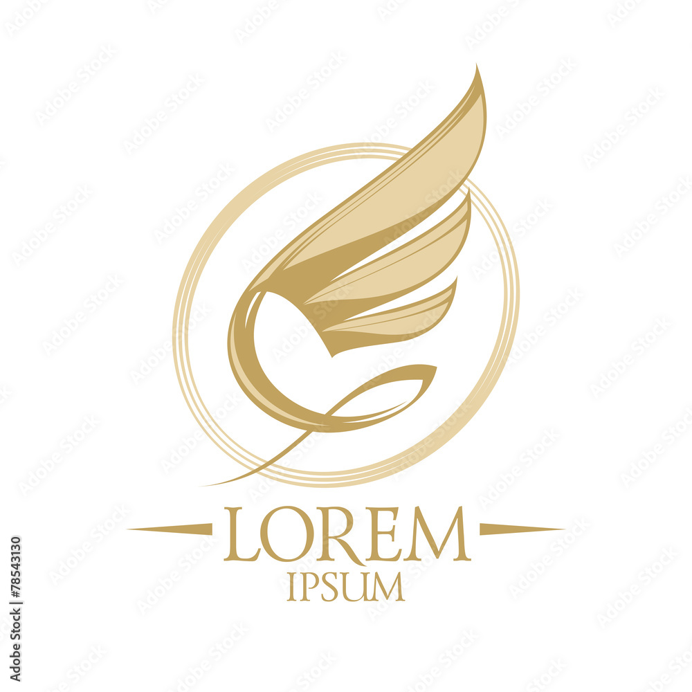 Fototapeta premium Wing logo template.