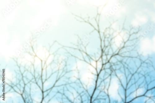 Blur background of Dry tree branch silhouette over blue sky © tanawatpontchour
