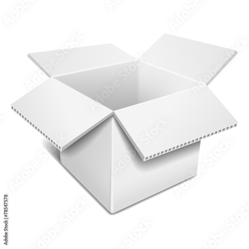 Empty open white cardboard box